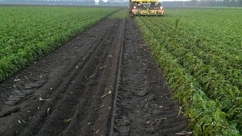 Het land is nog behoorlijk nat.’Maar het valt ons nog alles mee hoe het er bij komt te liggen.’
