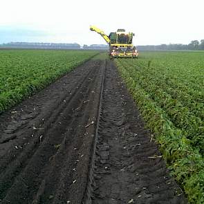 Het land is nog behoorlijk nat.’Maar het valt ons nog alles mee hoe het er bij komt te liggen.’