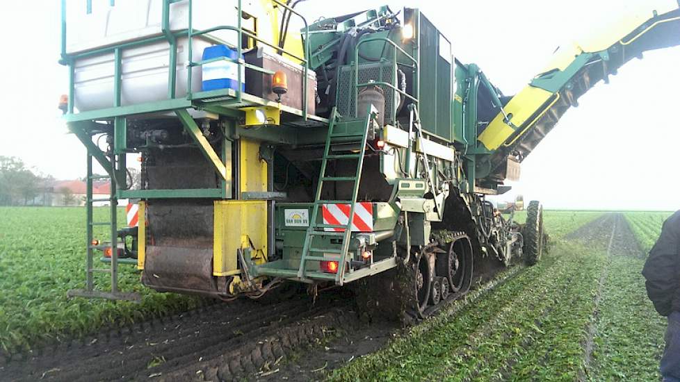 De Ploeger witlofrooier op rupsen van loonbedrijf Van Dun is aangekomen en de oogst kan beginnen. Douma teelt in totaal 21 hectare witlof. Geoogst wordt het ras Atlas.