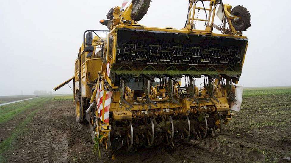 Door de natheid moest onder zware omstandigheden worden gerooid.