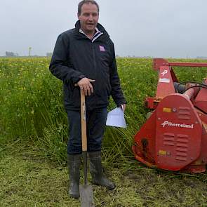 In een jaar als dit, waarin de groenbemester veel bladmassa heeft, is voorbewerking van het gewas nodig, zegt Christoffel den Herder van DLV Plant. ‘Anders krijg je problemen met die enorme massa onder de grond.’