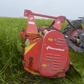 Om te zien wat het resultaat is bij een groenbemester van gemiddelde omvang rijdt de trekker nu door het gewas met de klepelbak half hoog.