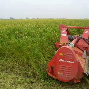 Voorbewerken met een klepelbak, zoals deze van Kverneland, is heel effectief, zegt Den Herder. ‘Het gewas wordt kort geklepeld en mooi klein gehakseld.’ Bijkomend voordeel is dat de stikstof in de organische massa in het jaar er op vrij makkelijk vrij kom