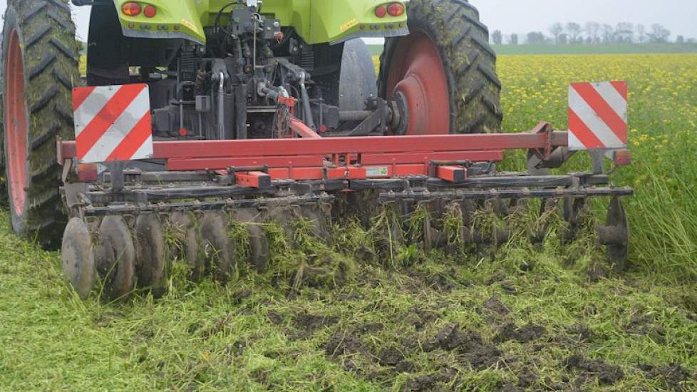 Klepelbak met schijfeg is een goede combinatie, meent Den Herder. Eén van de nadelen van deze combi is echter dat hij wat meer moeite heeft met oogst- en spuitsporen, omdat hij minder makkelijk de bodem in komt. ‘En hij heeft meerdere bewerkingen nodig om