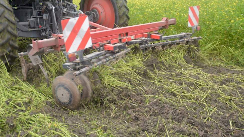 ... en moet een tweede ronde maken om de groenbemester goed aan te pakken. ‘De schijfeg alleen is lang niet zo effectief als de klepelbak.’