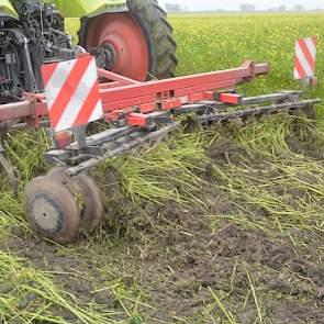 ... en moet een tweede ronde maken om de groenbemester goed aan te pakken. ‘De schijfeg alleen is lang niet zo effectief als de klepelbak.’