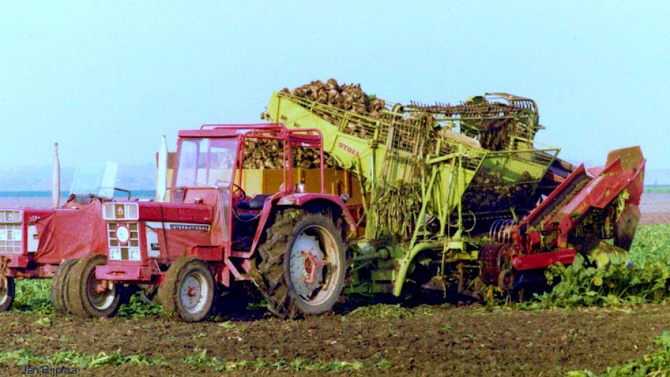 1979: Jan Rijpma rooit zijn bieten met 1-rijige Stoll C45. De afvoer gebeurt met een International 423  met daarachter een Unicum Kipper met 3,5 ton laadvermogen.