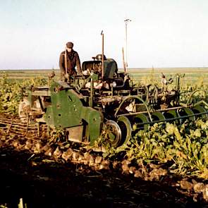 1967: Opnieuw loonbedrijf Nijssen, nu met een Volvo (Kuiken) A500 rooimachine. Deze 6-rijige voorraadrooier rooit 2 zwaden van 6 rijen bij elkaar, daarna worden de bieten met een oplader opgeraapt.