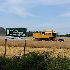 Het Heineken bord staat in een bloemrijke akkerrand voor Veldleeuwerik.