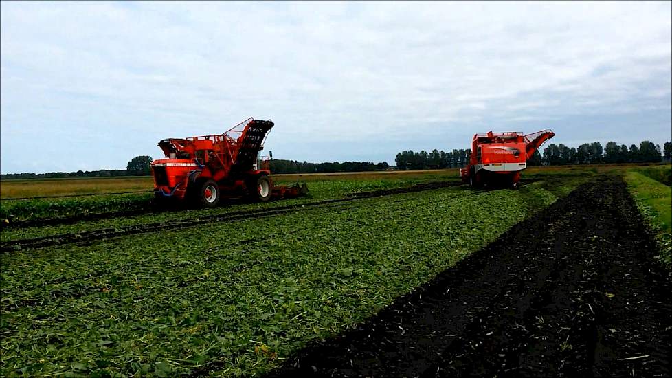 Bieten rooien bij akkerbouwbedr. Huizing in Buinen met 2 Vervaet rooiers