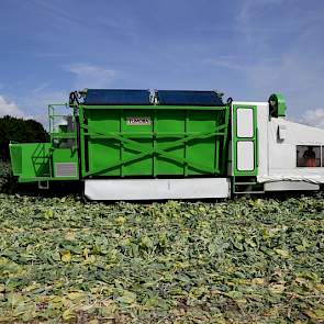 Het werk op het land is voorlopig nog niet klaar. De spruitenteler zegt nog tot januari bezig te zijn met het oogsten van de spruiten.