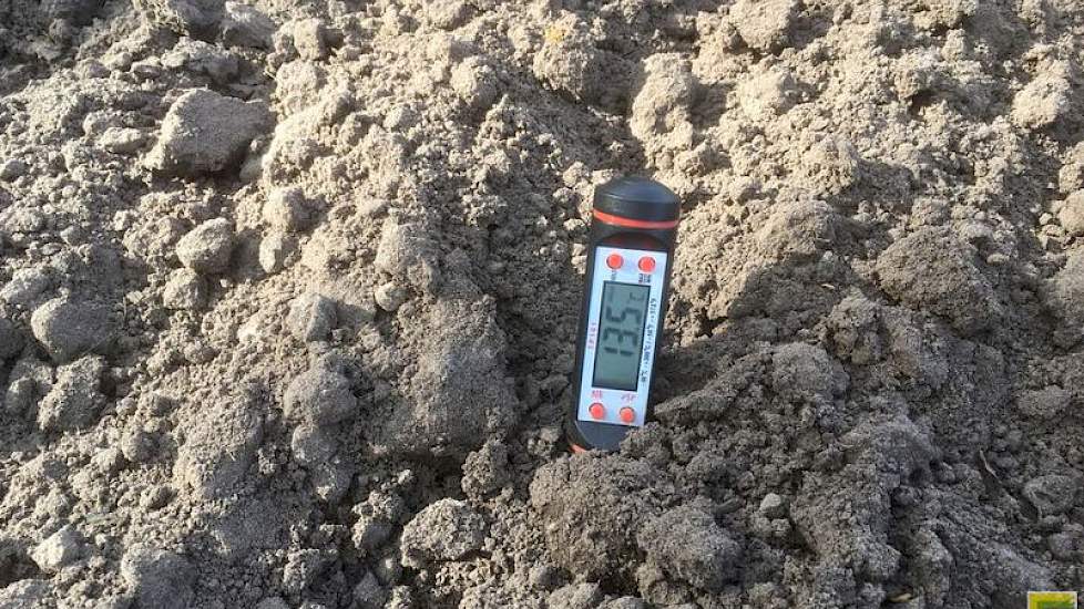 4 mei: De bodemtemperatuur was op het moment van zaaien 13,5 graden.