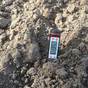 4 mei: De bodemtemperatuur was op het moment van zaaien 13,5 graden.