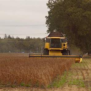 1 november: De soja van Nijhoff is gedorst. Met de wisselende weersomstandigheden in het vooruitzicht besloot hij de bonen tijdens de koude dagen te oogsten. Nijhoff kan nog geen uitspraken doen over de netto-opbrengst, maar duidelijk is dat de oogst door