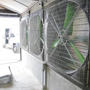 Achter in de zijgevel zitten de drie lengteventilatoren. „De lengteventilatoren zitten in de zijgevel omdat ze de lucht niet over de mest in de mestloods mogen blazen in verband met het mesthygiënisatieproces”, legt Atzema uit.
