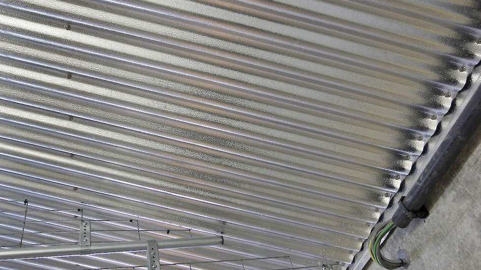 Net als in zijn andere twee stallen koos Atzema voor aluminium plafondplaten. Bovenop deze plafondplaten ligt glaswol. „Aluminium plafondplaten zijn brandveiliger en beter bestand tegen ongedierte als tempexkevers, muizen en ratten dan bijvoorbeeld dupane