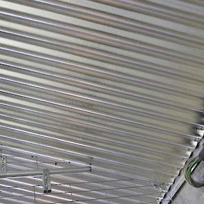 Net als in zijn andere twee stallen koos Atzema voor aluminium plafondplaten. Bovenop deze plafondplaten ligt glaswol. „Aluminium plafondplaten zijn brandveiliger en beter bestand tegen ongedierte als tempexkevers, muizen en ratten dan bijvoorbeeld dupane