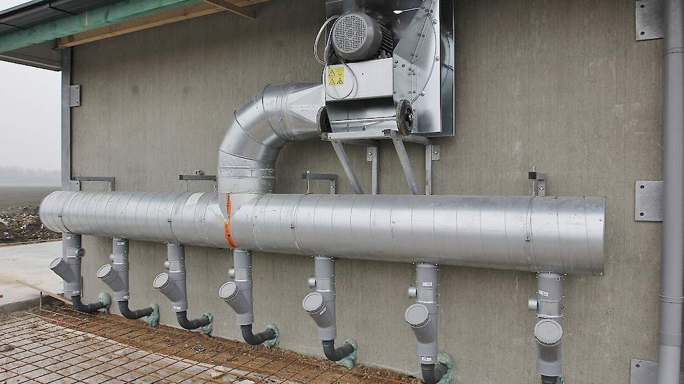 De familie koos voor een mestdroog- en hyginieseersysteem van Salomons. „De drukventilator blaast continue 24 uur per dag en 7 dagen per week buitenlucht door de mest waardoor het broeiproces sneller gaat en deze droogt tot 70 procent droge stof.” De gedr