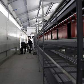 De familie was tot september vorig jaar van plan om een nieuwe vleeskuikenouderdierenstal te bouwen. De vergunning daarvoor lag al klaar. „Vorig jaar waren de broedeiprijzen slecht. Ook waren de vooruitzichten niet heel rooskleurig waardoor het lastig zou