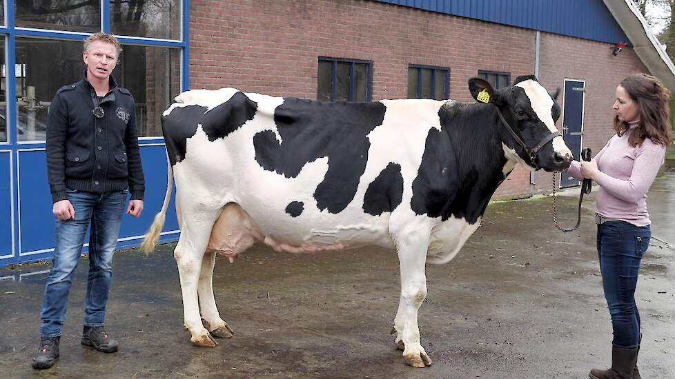 Geertje 23 van de familie Van der Wijk uit Boijl (FR)