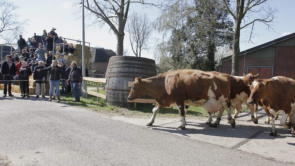 De toeschouwers die in grote getale kwamen staan allemaal klaar met hun telefoon om de happening vast te leggen op beeld.