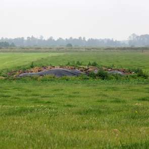 De 150 Groninger Blaarkoppen werden alleen voor het vlees gehouden, maar zodra de afkalfperiode begint, gaat het melken ook van start. Er is een stal gebouwd op Eytemaheert. De akkers zijn voor de vogels, volgens Maurits, maar ook voor voedsel voor mensen