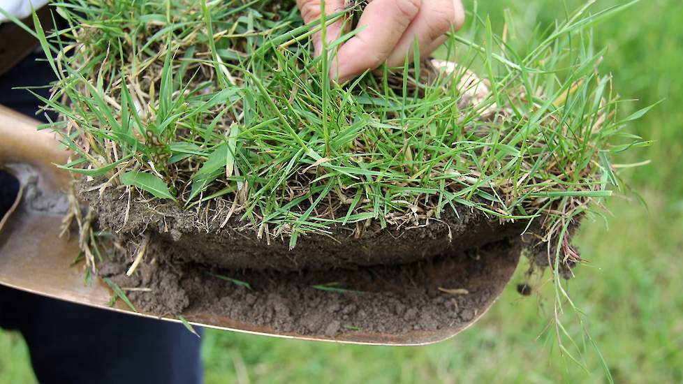 Vele sprekers feliciteren de Teppers met hun onderzoeksbedrijf. De directeur van Staatsbosbeheer zegt dat de proef in samenwerking met de Wageningen Universiteit een voorbeeld is van hoe de biodiversiteit kan toenemen, terwijl de boer met natuurinclusieve