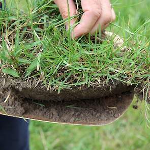 Vele sprekers feliciteren de Teppers met hun onderzoeksbedrijf. De directeur van Staatsbosbeheer zegt dat de proef in samenwerking met de Wageningen Universiteit een voorbeeld is van hoe de biodiversiteit kan toenemen, terwijl de boer met natuurinclusieve