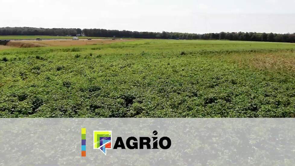 Droogte zorgt voor slappe gewassen in Drenthe