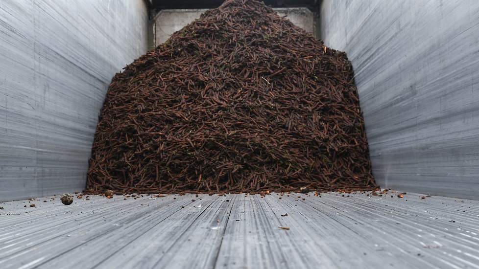 Dankzij intensief beregenen wist het akkerbouwbedrijf een gemiddeld opbrengst te behalen van 90 ton bruto per hectare.