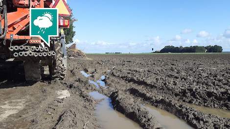 Weerbericht: Geen zicht op meerdere droge dagen achter elkaar - Veldpost