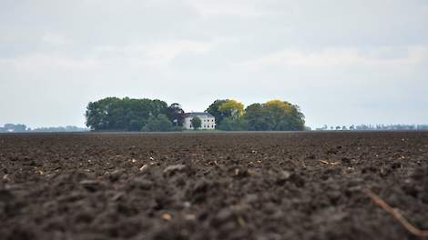 Oldambt blijft de graanschuur van Nederland - Veldpost