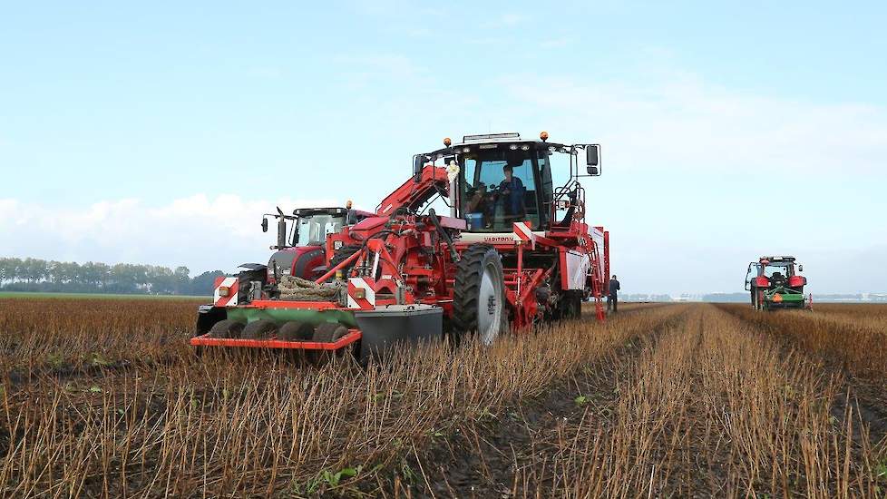 Fotoserie: Lelies rooien in Creil