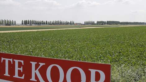 Grondprijzen Noord-Nederland blijven stijgen - Veldpost