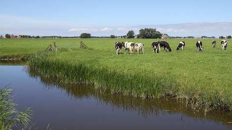 CO2-uitstoot in Fries veenweidegebied met vliegtuig gemeten - Veldpost
