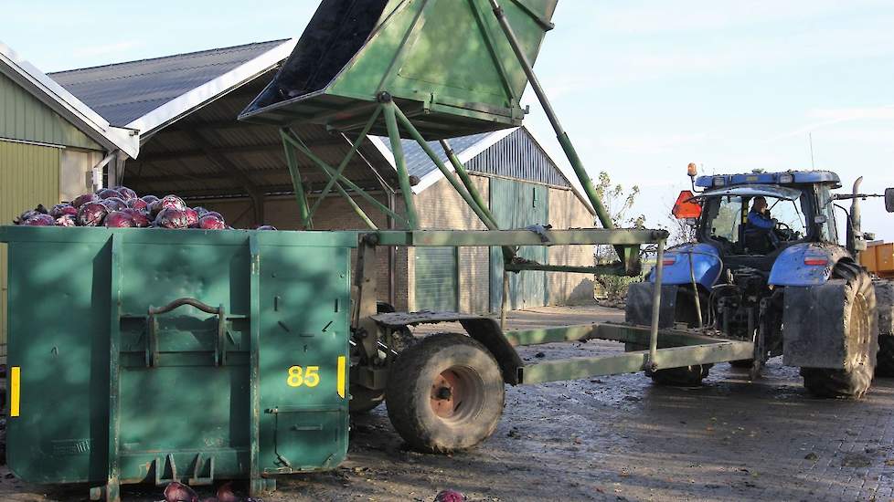 De volle kippers worden op het erf leeggestort in containers.