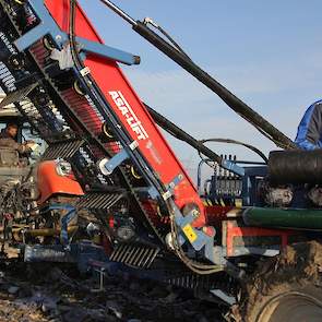 Dankzij de machinale oogst is het werk fysiek veel prettiger geworden. „Waar je voorheen de hele dag gebogen stond te snijden op het land, sta je nu rechtop achterop de machine.”