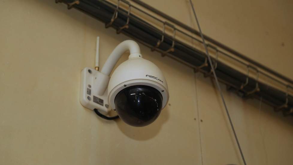 In beide stallen hangt een camera. Zowel Johan als zijn moeder kunnen op hun mobiel zien hoe de kuikens in de stal liggen. „We lopen iedere dag minstens twee keer door iedere stal. Dan zie je meer”, zegt moeder. Ze zijn echter wel blij met de camera’s. „J