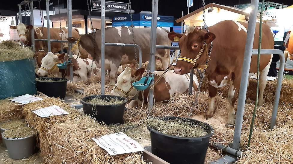 Bezienswaardigheden op de beursvloer.