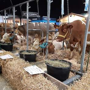 Bezienswaardigheden op de beursvloer.