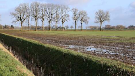 Een nat perceel in het Oldambt.