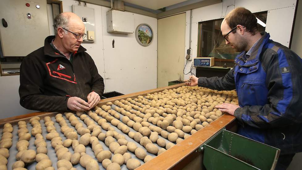 Fotoserie: Laatste hand aan het pootgoed