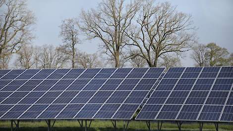 'Gebruik geen kostbare landbouwgrond voor zonnepark Leeuwarden' - Veldpost