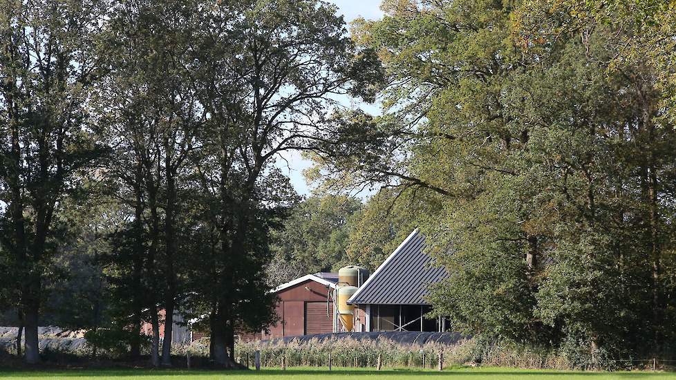 Foto ter illustratie.