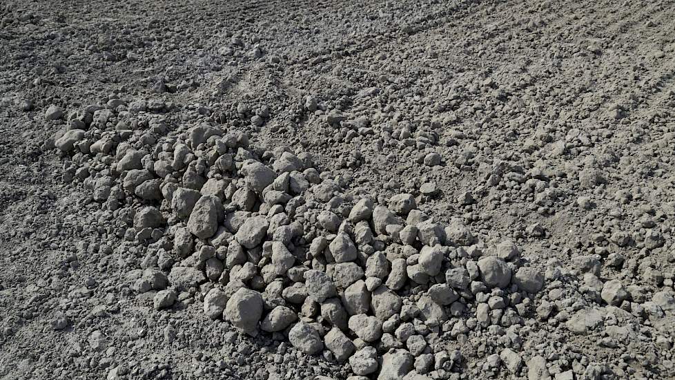 De droogte eist zijn tol. Niet lang nadat deze foto werd gemaakt, stopten Lodders en Breure-chauffeur Roelof Boekhoud met het werk. „Eerst volgende week beregenen, dan weer verder."