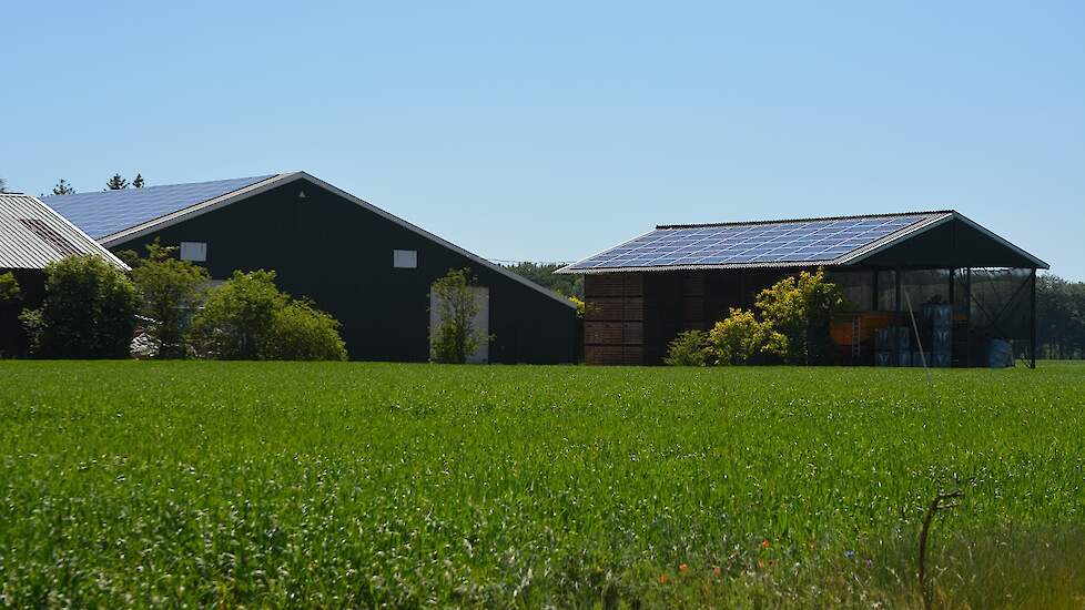 Op alle daken van zijn boerderij liggen zonnepanelen, waardoor zijn bedrijf maar liefst drie keer energieneutraal is.