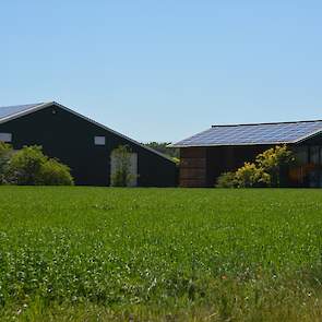 Op alle daken van zijn boerderij liggen zonnepanelen, waardoor zijn bedrijf maar liefst drie keer energieneutraal is.