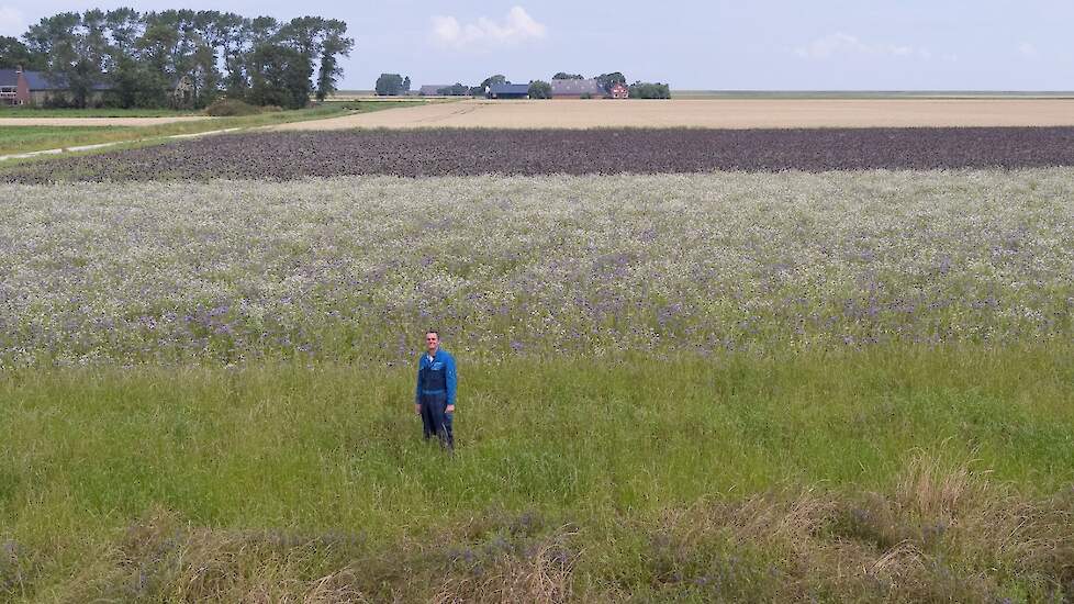 Jan Wolthuis bij zijn kruidenrijke mengsel dat hij gebruikt als rustgewas.