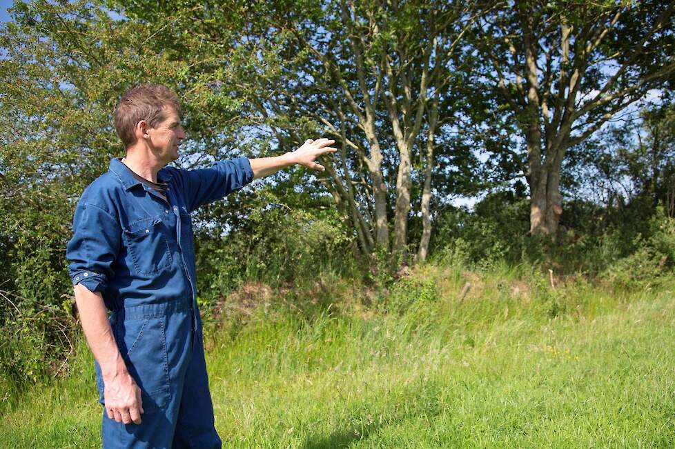 Jappie Hooisma boert in coulisselandschap dat hij al meer dan 30 jaar onderhoudt.