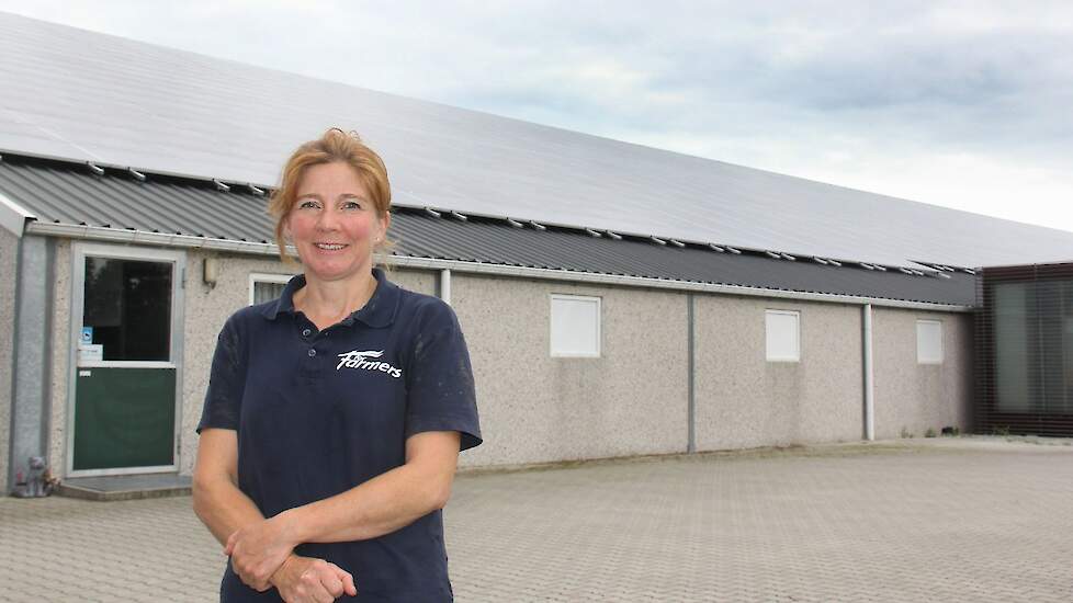 Op dinsdag 1 september is het half bewolkt tegen de Duitse grens, in Drenthe. Het humeur van Sabine Grobbink is evenwel zonnig. Op de eerste stal, achter Sabine, ligt ongeveer twee derde van de 1.118 zonnepanelen.